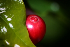 Image00001