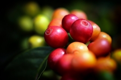 Image00002